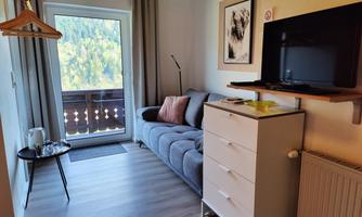 A cozy room with a gray sofa and a TV. Out of the window, one looks at a wooded landscape.