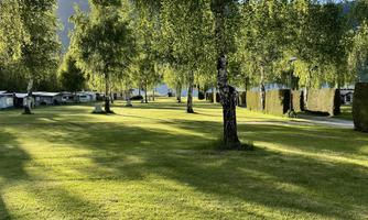 A quiet meadow with tall trees under a blue sky. In the background, some parking spaces for motorhomes are visible.