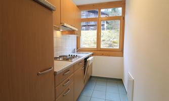 A modern kitchen with wooden cabinets and a window that offers a view of nature. The kitchen is functional with a stove, sink, and dishwasher.