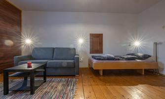 A bright room with a gray sofa and a bed. The wooden floor and modern lights create a cozy atmosphere.