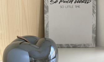 A shiny gray apple decoration stands on a white table. In the background, there is a beautiful inscription on a light sheet: "So much world, so little time."