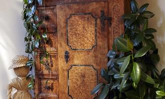 An antique wooden cabinet stands in the corner of the room, surrounded by plants. Next to the cabinet lies a decorative rug and a straw figure.