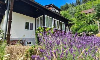A charming house surrounded by purple lavender flowers. In the background, green trees and a blue sky can be seen.