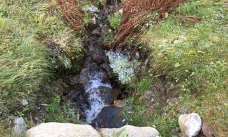A small brook flows through green meadows. Surrounded by stones and plants, the water gently babbles.