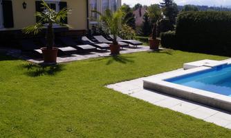 A well-maintained garden with green lawns and a blue swimming pool. In the background, there are sun loungers and palm trees.