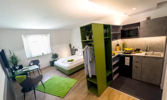 A modern room with an open kitchen area and a sleeping area. The decor is minimalist and designed with green accents.