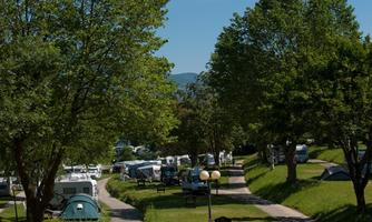 A campsite with several motorhomes and tents, surrounded by green trees. The paths are well-maintained and invite relaxation.