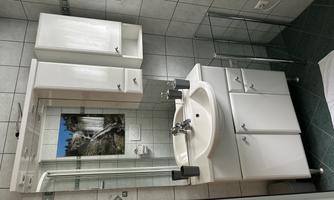 A modern bathroom with a white sink and mirror. The walls are tiled, and a picture of a waterfall landscape is mounted on the wall.