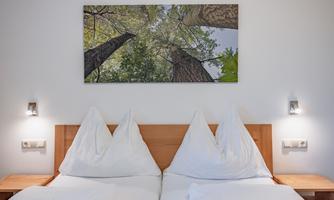 A cozy bedroom with two beds and white bedspreads. On the wall hangs a picture of tall trees from a frog's perspective.