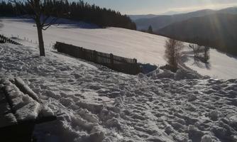 A snowy landscape with a clear blue sky and the sun shining. In the foreground, snow can be seen, and in the background, there are trees and a fence.