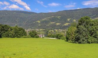 A green meadow with trees and gentle hills in the background. The sky is clear and blue, with a few clouds.