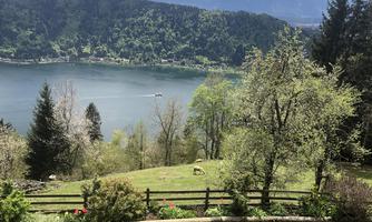 A picturesque landscape with a clear lake and gentle hills. In the foreground, there are trees and blooming plants.