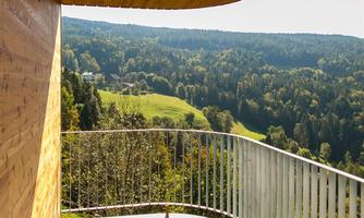 A modern terrace with wooden cladding and balustrade. In the background, a green forest landscape stretches under a clear sky.