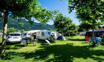 A campsite with caravans, cars, and bicycles under large green trees. The meadow is sunny and inviting, ideal for a relaxing stay in nature.