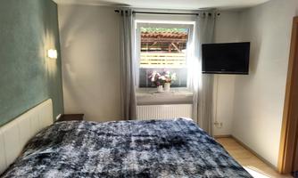 A cozy bedroom with a large bed and a television on the wall. The window lets in plenty of daylight and offers a view of outdoor plants.