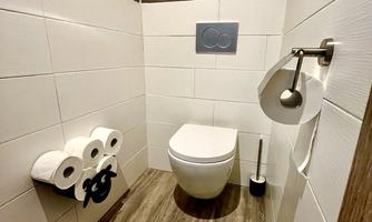 A modern bathroom with a white toilet and wooden floor. Towel holders and toilet paper rolls are visible on the wall.
