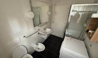 A modern bathroom with a shower, two sinks, and a toilet. Bright walls and dark tiles create a stylish atmosphere.