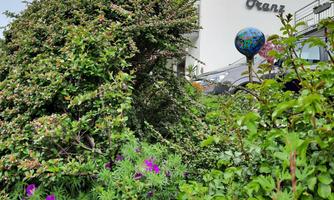 A building named "Haus Franz" is surrounded by lush greenery. Colorful flowers bloom in front of the facade.