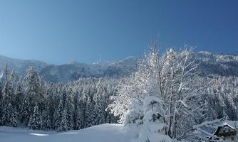 A snowy winter landscape with snow-covered trees and mountains in the background. The sky is clear and blue.