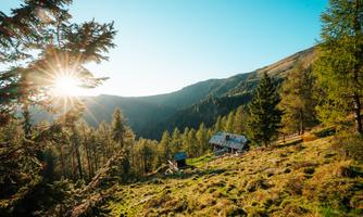 A picturesque mountain landscape with sunlight streaming through the trees. In the foreground stands a small cabin nestled in nature.