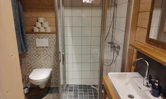 A modern bathroom view with a shower, a sink, and a toilet. The walls are clad with tiles and wood.