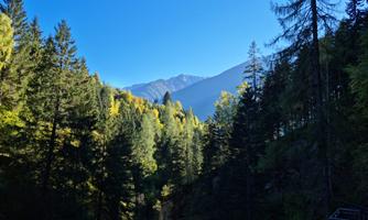 A picturesque landscape with lush green forests and majestic mountains in the background. The clear blue sky adds a peaceful atmosphere to the scene.