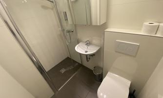 A modern bathroom with a shower, a sink, and a toilet. The walls are bright, and the decor is minimalist.
