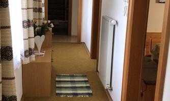 A bright hallway with carpet and wooden doors. Pictures hang on the walls, and a plant stands on a chest of drawers.