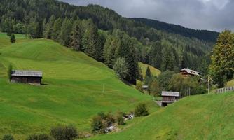A picturesque landscape with gentle green hills and scattered farmhouses. In the background, dense forests can be seen.