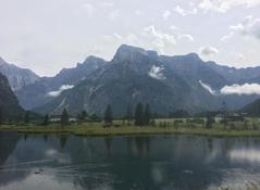 Tiersegnung Tiersegnung