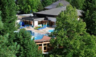A quiet courtyard with a swimming pool and loungers. Surrounded by green trees and a modern building.