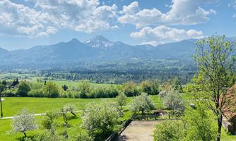 A picturesque landscape with green meadows and blooming trees. In the background, majestic mountains can be seen under a blue sky.