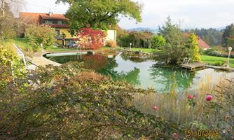 A quiet garden with a natural swimming pond and a surrounding variety of plants. In the background, a house can be seen, nestled in a picturesque landscape.