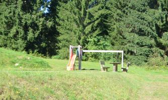 A small playground with a slide and a swing in a green meadow. In the background, tall trees can be seen.