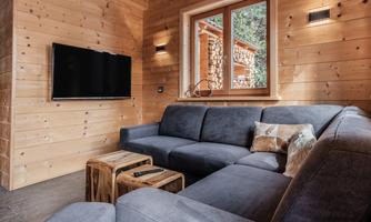 A modern living room with a comfortable gray couch and a wooden TV stand. The walls are made of light wood, and a large window lets in daylight.