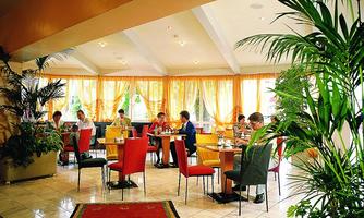 An inviting restaurant with colorful chairs and large windows. Guests enjoy their meals in a bright, green environment.