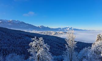 A snow-covered mountain landscape under a clear blue sky. The trees are frosty and the views are spectacular.