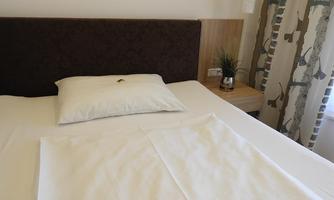A simple bed with a white duvet and a pillow. Next to the bed is a small table with a plant.