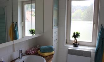 A modern bathroom with a sink and a large mirror. Through the window, a green view is visible, and there are colored towels and a small plant.
