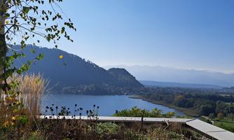 A picturesque view of a lake surrounded by mountains and trees. The clear sky and the tranquil landscape create a relaxed atmosphere.
