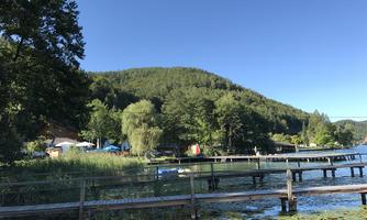 A tranquil lake surrounded by trees and gentle hills. Wooden walkways and green water plants line the shore.