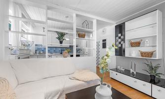 A modern living room with a bright sofa and open shelves. The decor is simple and stylish, featuring plants and decorative elements.