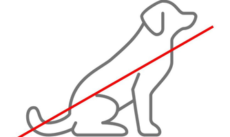 A minimalist, sketchy image of a dog. A red cross runs through the depiction, signaling a prohibition.