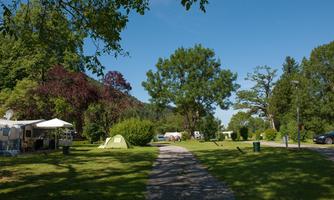 A beautiful campsite with green meadows and numerous trees. The path leads to tents and caravans under a clear, blue sky.