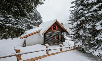 A cozy wooden cabin in the snow, surrounded by tall fir trees. The red shutters provide a beautiful contrast to the white winter landscape.