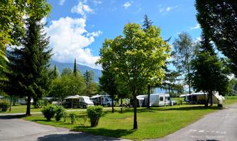 A campsite with motorhomes and caravans among green trees. The sky is clear and blue, and the surroundings feel inviting and calm.