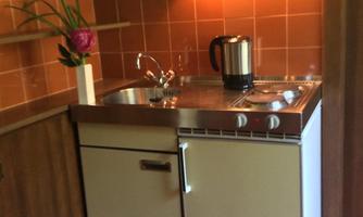 A small kitchen with a sink, a refrigerator, and a kettle. The walls are tiled orange and there is a bouquet of flowers on the countertop.