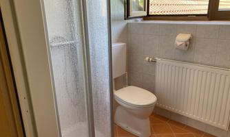 A modern bathroom with a shower, toilet, and a radiator. It has large windows that let in daylight.