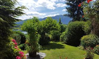 A beautiful garden with various plants and flowers. In the background, mountains and a blue sky can be seen.