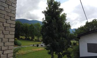 Ausblick